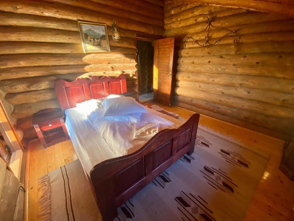 Cabana Vanatorului Rîşnov Dış mekan fotoğraf