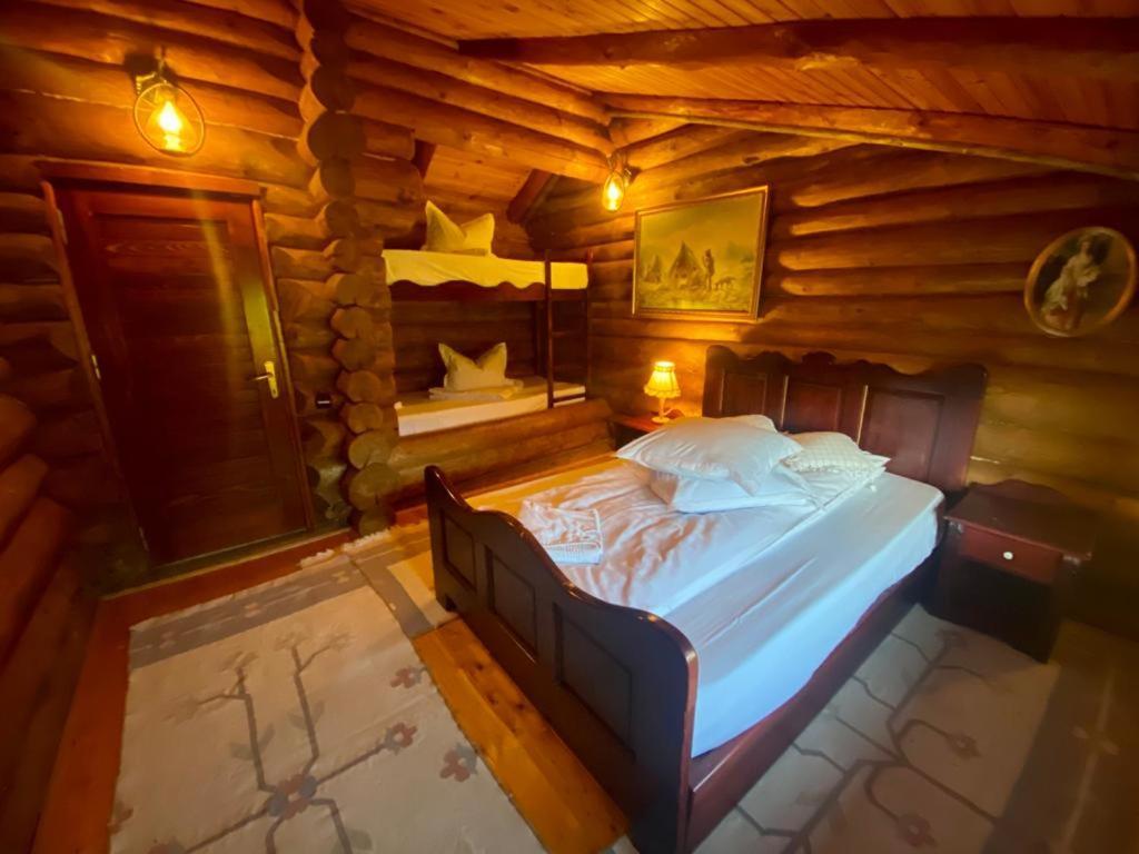 Cabana Vanatorului Rîşnov Dış mekan fotoğraf