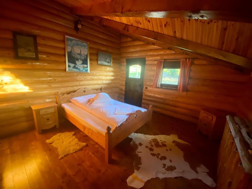 Cabana Vanatorului Rîşnov Dış mekan fotoğraf