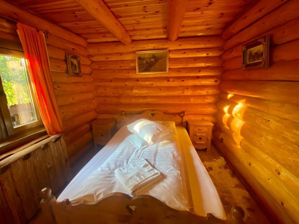 Cabana Vanatorului Rîşnov Dış mekan fotoğraf