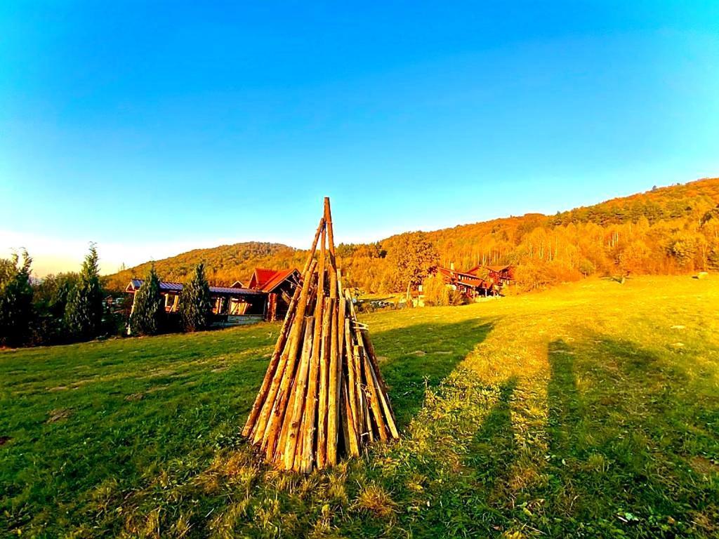 Cabana Vanatorului Rîşnov Dış mekan fotoğraf