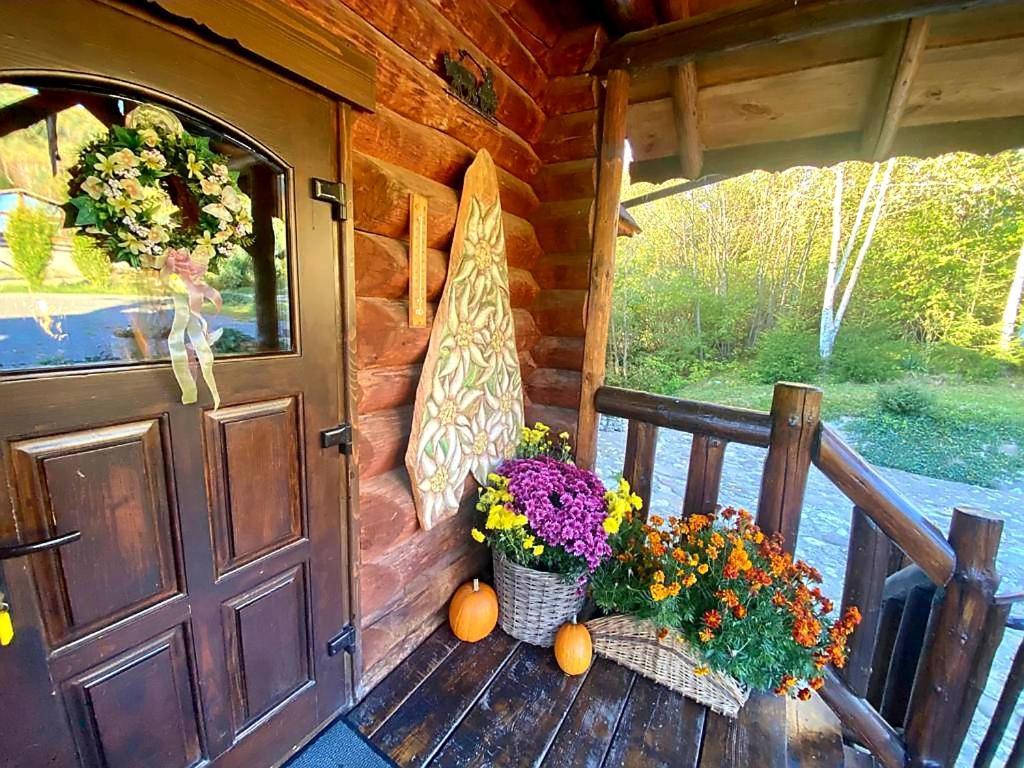 Cabana Vanatorului Rîşnov Dış mekan fotoğraf