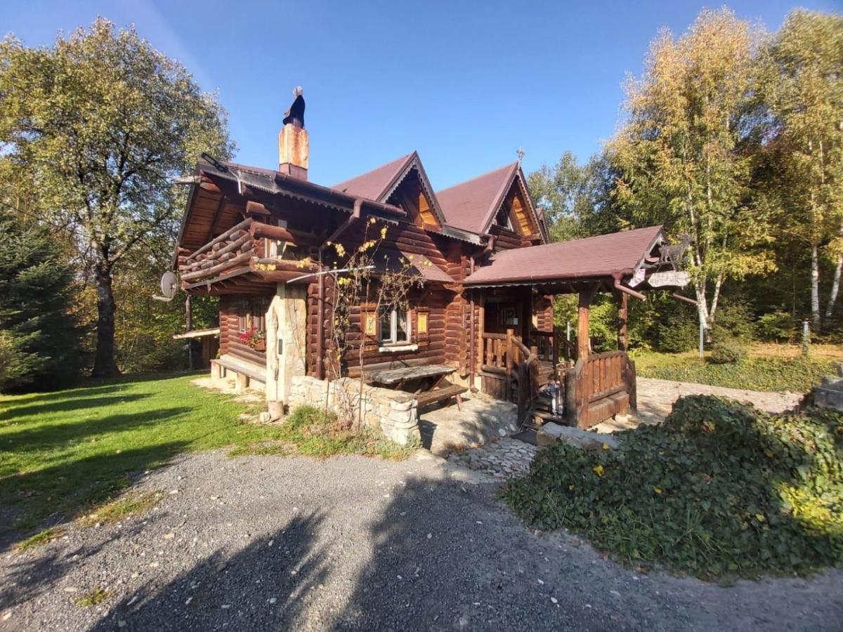 Cabana Vanatorului Rîşnov Dış mekan fotoğraf