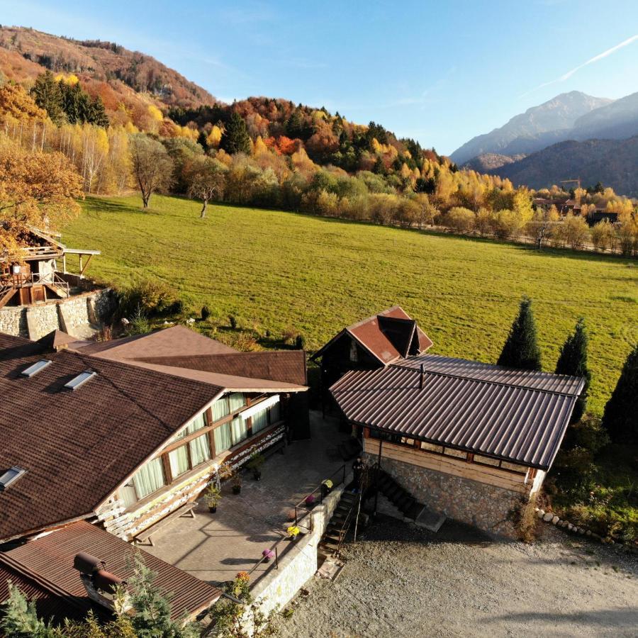 Cabana Vanatorului Rîşnov Dış mekan fotoğraf