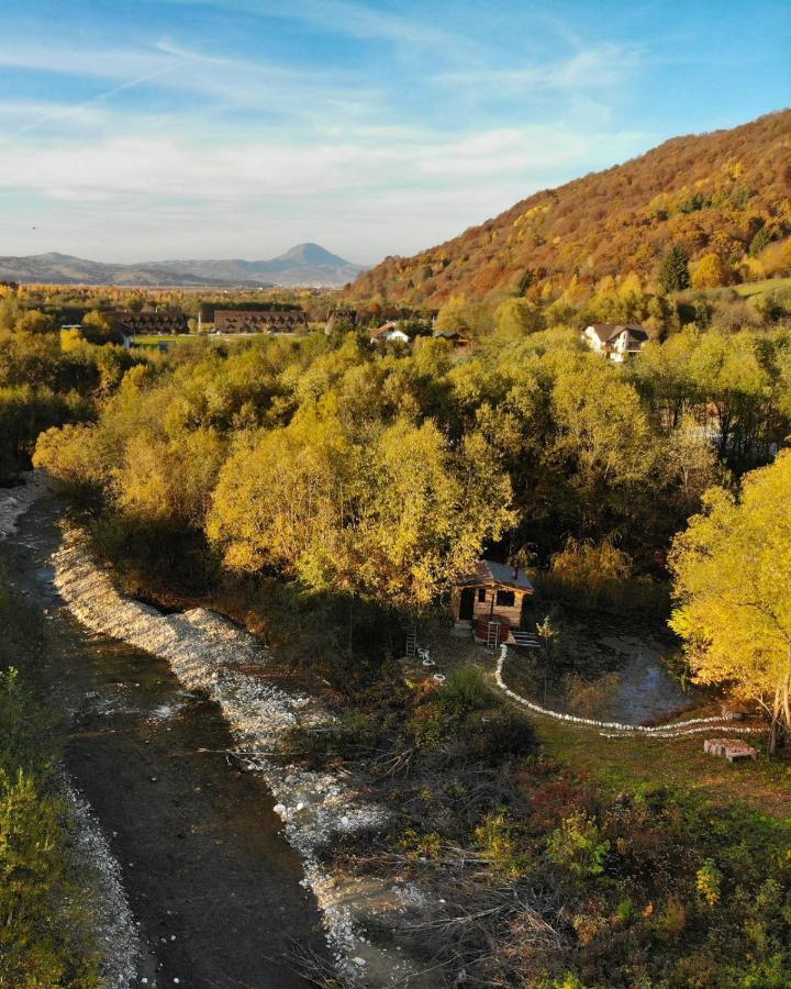 Cabana Vanatorului Rîşnov Dış mekan fotoğraf