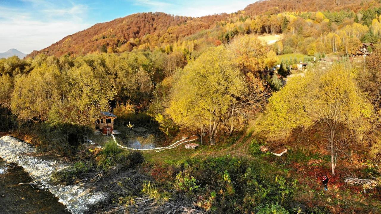 Cabana Vanatorului Rîşnov Dış mekan fotoğraf