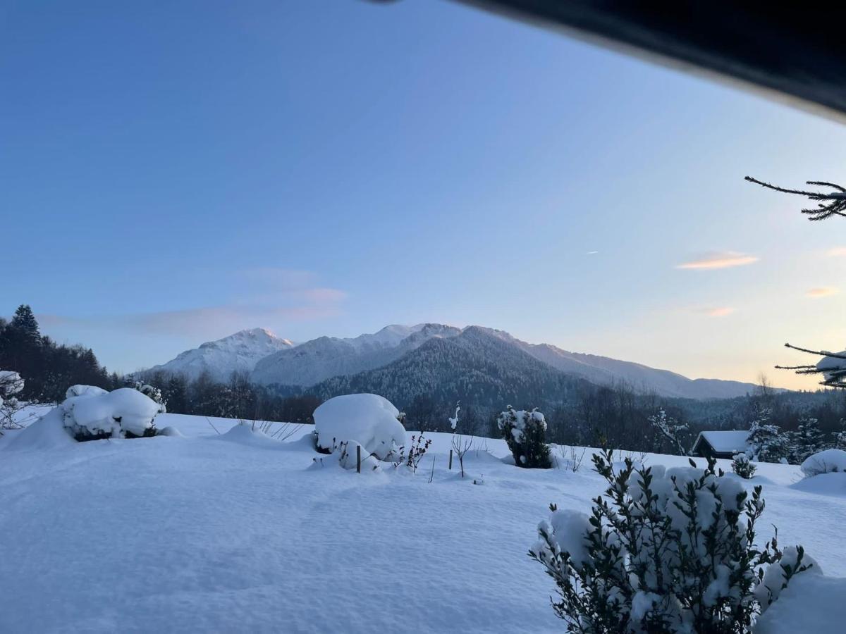 Cabana Vanatorului Rîşnov Dış mekan fotoğraf