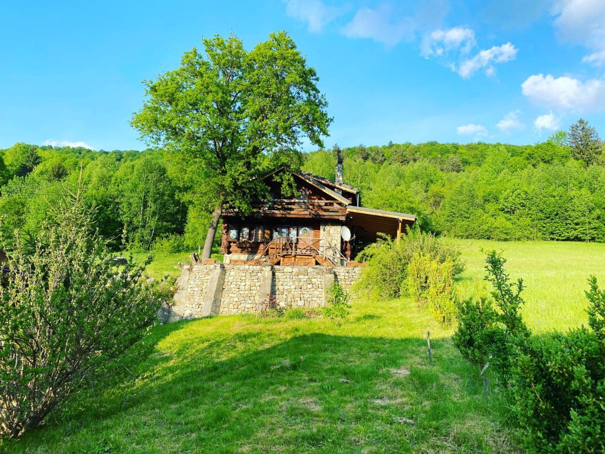 Cabana Vanatorului Rîşnov Dış mekan fotoğraf