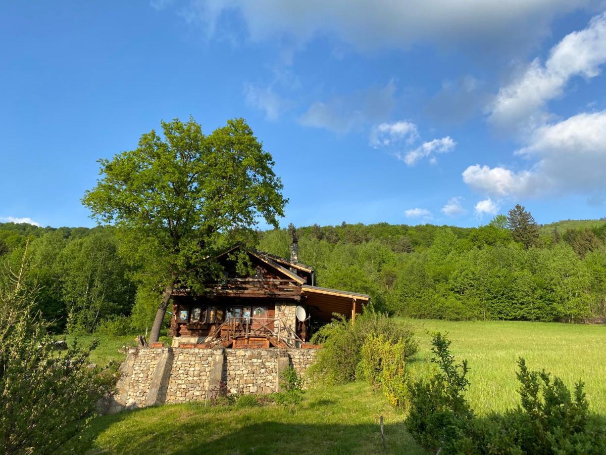 Cabana Vanatorului Rîşnov Dış mekan fotoğraf