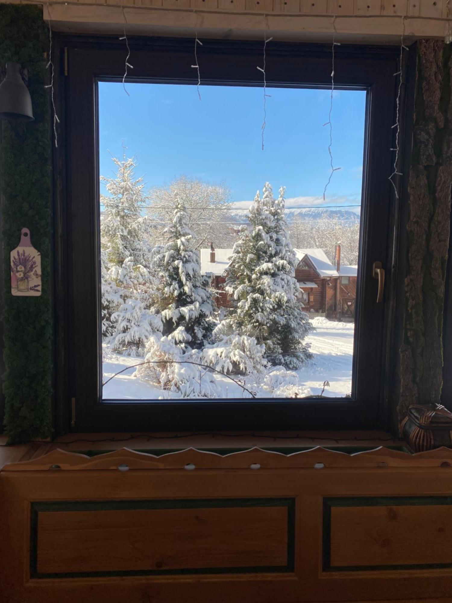 Cabana Vanatorului Rîşnov Dış mekan fotoğraf