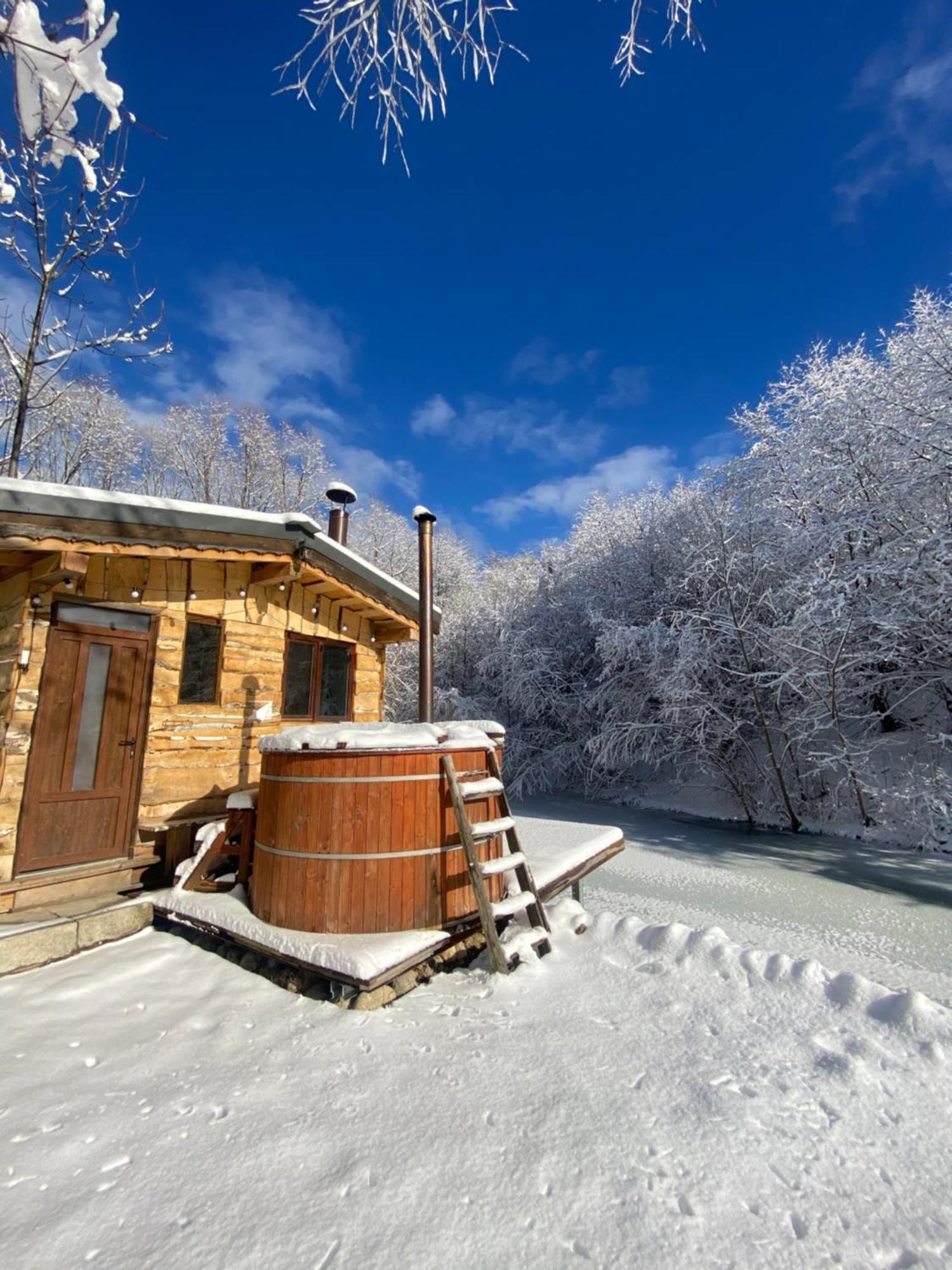 Cabana Vanatorului Rîşnov Dış mekan fotoğraf