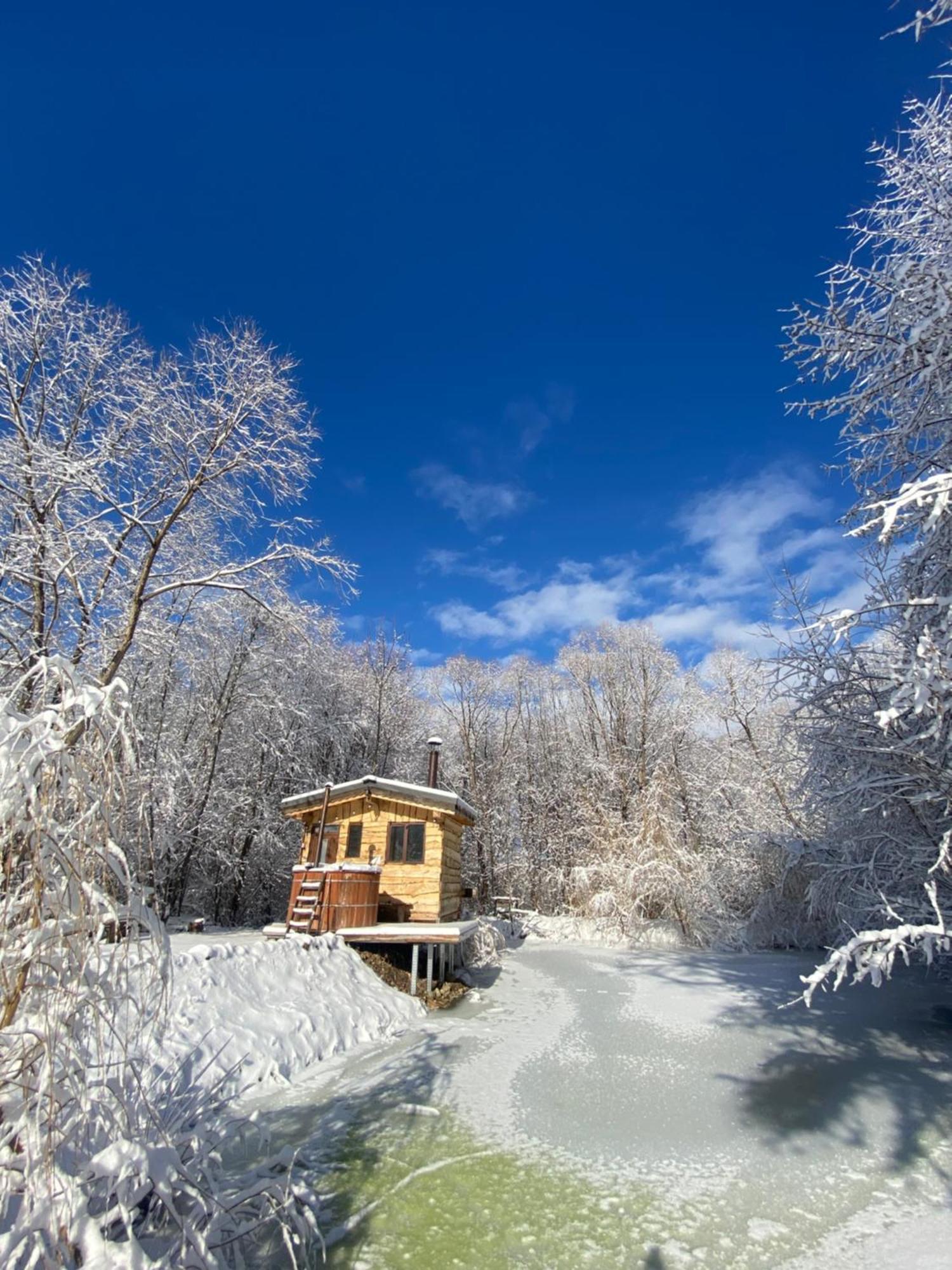 Cabana Vanatorului Rîşnov Dış mekan fotoğraf