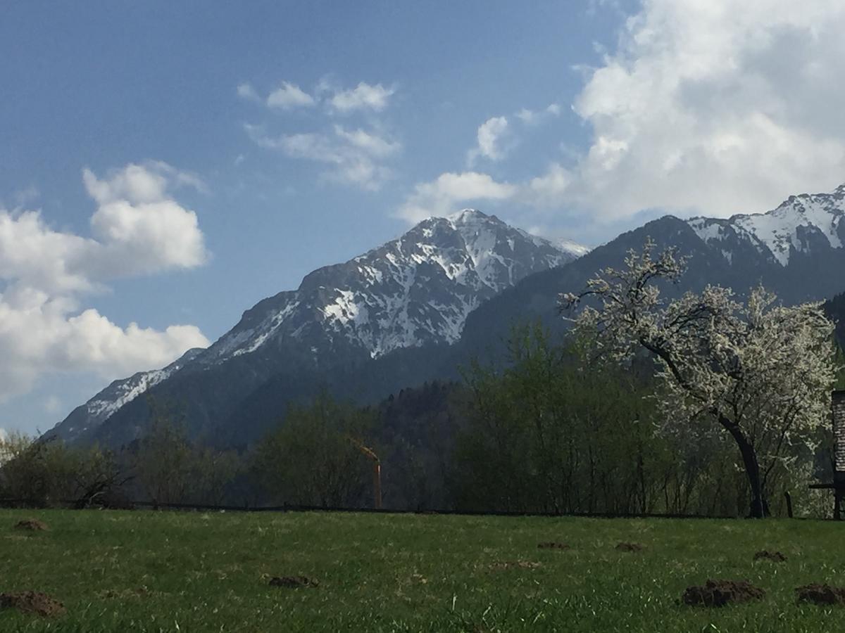 Cabana Vanatorului Rîşnov Dış mekan fotoğraf