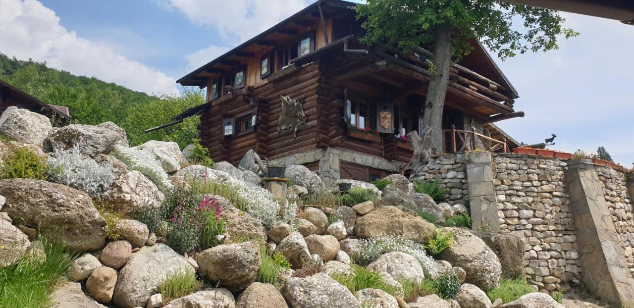 Cabana Vanatorului Rîşnov Dış mekan fotoğraf